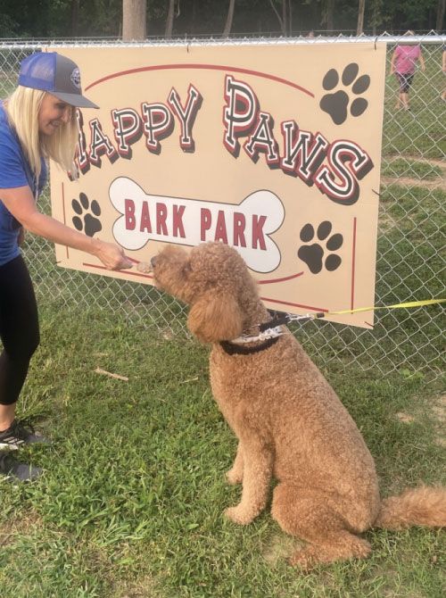 dogpark